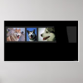 Huskies Print (Voorkant)