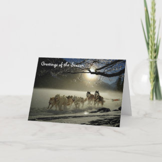 Huskies Sled Dogs Holiday Greeting Card Alaska Kaart