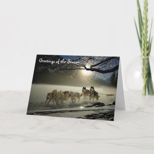 Huskies Sled Dogs Holiday Greeting Card Alaska Kaart (Voorkant)