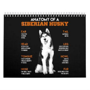Husky   Anatomie van Siberische heekhonden Kalender