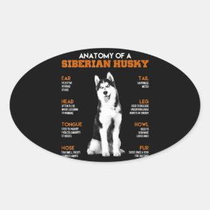 Husky   Anatomie van Siberische heekhonden Ovale Sticker