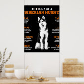 Husky | Anatomie van Siberische heekhonden Poster (Keuken)
