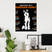 Husky | Anatomie van Siberische heekhonden Poster (Thuiskantoor)