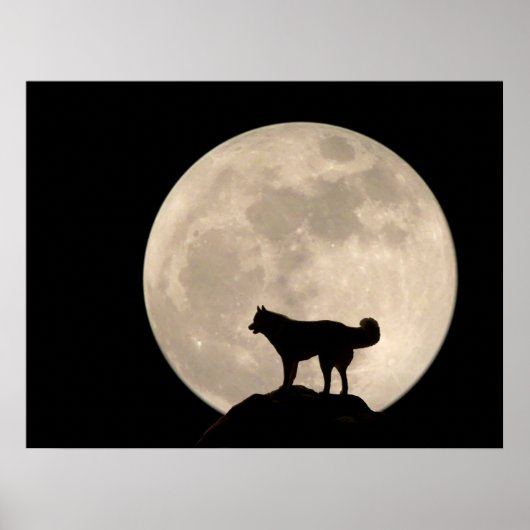 Husky Art Print Sled Dog Art Poster Husky Gifts (Voorkant)