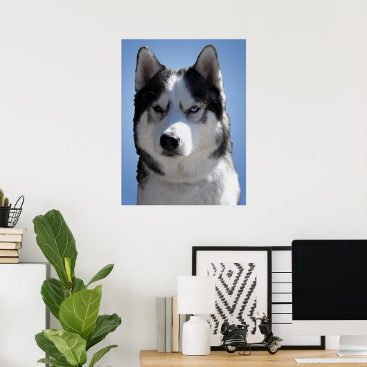 Husky Art Print Sled Dog Art Poster Husky Gifts (Thuiskantoor)