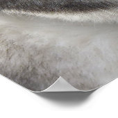 Husky Art Print Sled Dog Art Poster Husky Gifts (Hoek)