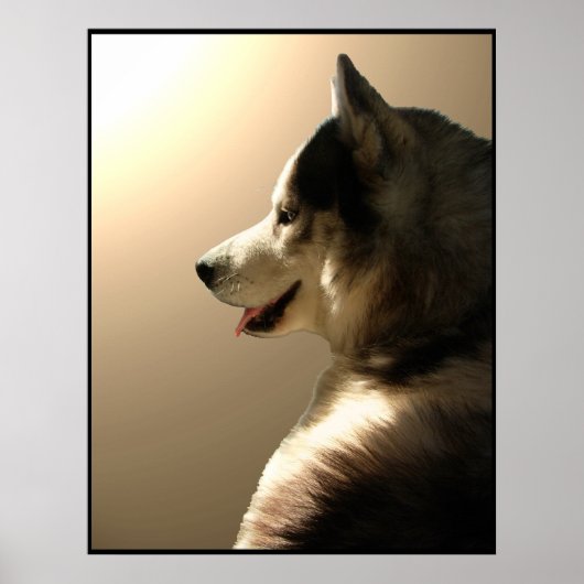 Husky Art Print Sled Dog Art Poster Husky Gifts (Voorkant)