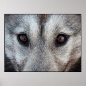Husky Art Print Sled Dog Art Poster Wolf Pup Gifts (Voorkant)