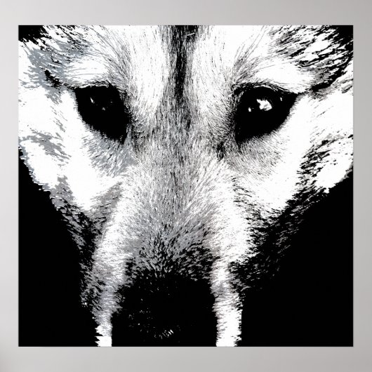Husky Art Print Sled Dog Art Poster Wolf Pup Gifts (Voorkant)