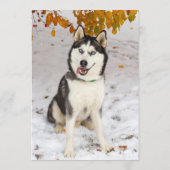 Husky Bar Menu (Achterkant)