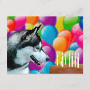 Husky Birthday Briefkaart
