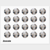 Husky blauwe ogen ronde sticker (Vel)