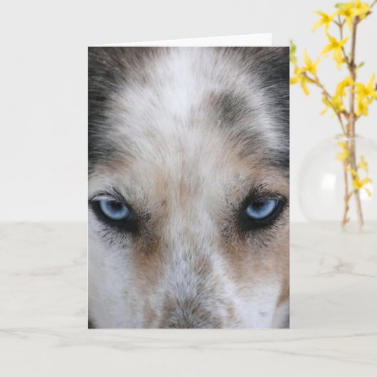 Husky blue eyes wenskaart kaart (Gele Bloem)
