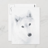 Husky Briefkaart (Voorkant / Achterkant)