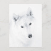 Husky Briefkaart (Voorkant)