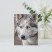 Husky Briefkaart (Staand voorkant)