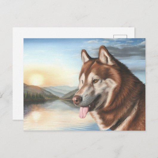 Husky Briefkaart (Voorkant / Achterkant)