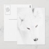 Husky Briefkaart (Voorkant / Achterkant)
