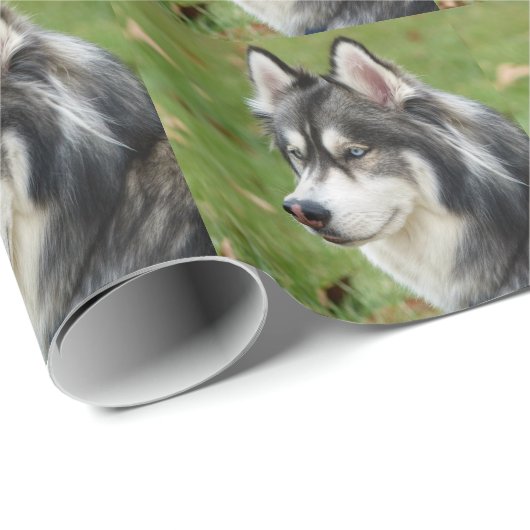 Husky Cadeaupapier (Rol Hoek)