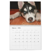 Husky Calendar 2011 Kalender (Feb 2026)