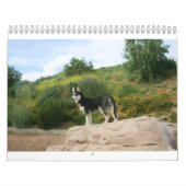 Husky Calendar 2011 Kalender (Hoes)