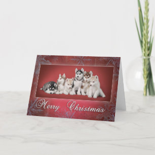 Husky Chistmas Feestdagen Kaart