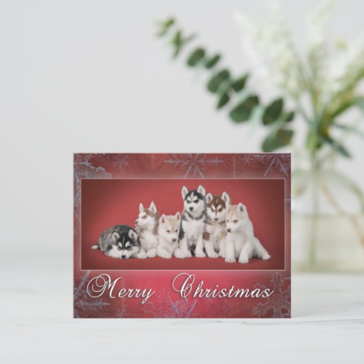 Husky Chistmas Feestdagenkaart (Staand voorkant)