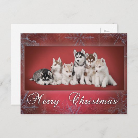 Husky Chistmas Feestdagenkaart (Voorkant / Achterkant)
