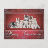 Husky Chistmas Feestdagenkaart (Voorkant)