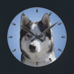 Husky Clock geeft decor Sled Dog Wall Clock Ronde Klok<br><div class="desc">Siberian Husky Clock Sled Dog Wall Clock Wolf Dog Gifts & Sled Dog Gifts & Decor Husky Puppy Malamute Hondenliefhebber Clocks Sled Dog Gifts Husky Clocks Decor Personalized Husky Gifts Klik op "Customize" om tekst toe te voegen Kies Lettertypen en aangepaste kleuren Cool Alaskan Malamute Siberian Husky Clocks Wolf Dog...</div>