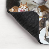 husky collage muismat (Hoek)