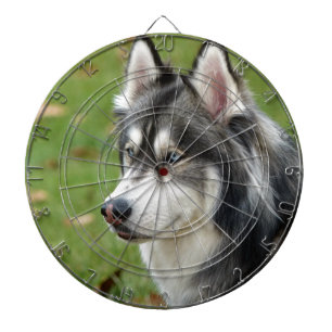 Husky Dartbord