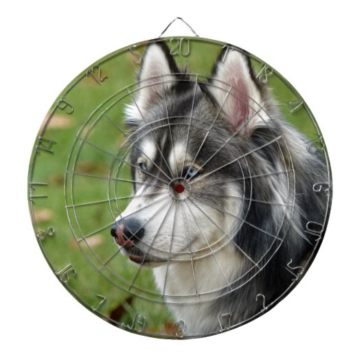 Husky Dartbord (Voorkant)