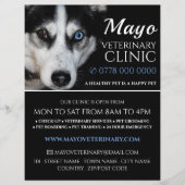 Husky, dierenarts, diergeneeskundige dienst flyer (Voorkant)