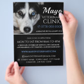 Husky, dierenarts, diergeneeskundige dienst flyer (Hand)