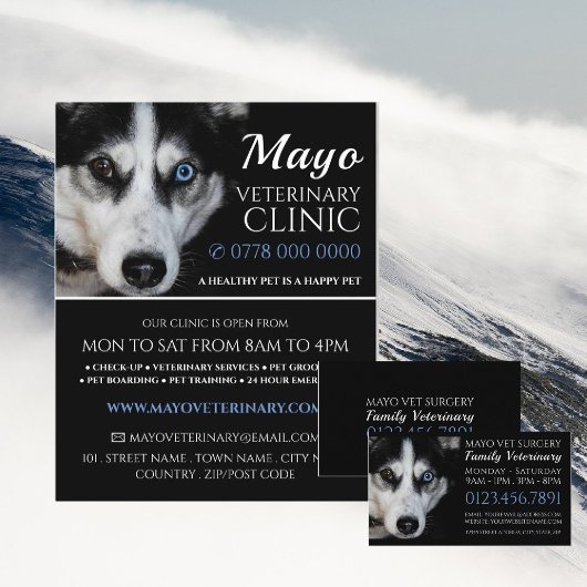Husky, dierenarts, diergeneeskundige dienst flyer