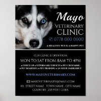 Husky, Dierenarts, Veterinaire Dienst Advertentie