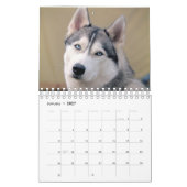 husky dog 2023 kalender (Jan 2027)