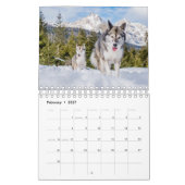 husky dog 2023 kalender (Feb 2027)
