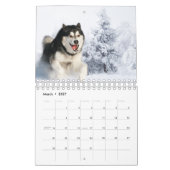 husky dog 2023 kalender (Mar 2027)