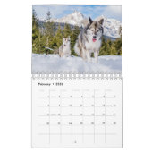 husky dog 2023 kalender (Feb 2026)