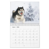 husky dog 2023 kalender (Mar 2026)