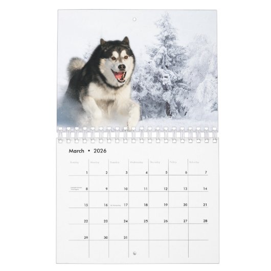 husky dog 2023 kalender (Mar 2026)