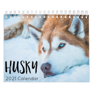 husky dog 2023 kalender