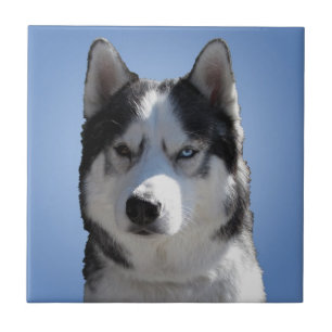 Husky Dog Art Keramische Tegel Malamute Wolf Eyes Tegeltje