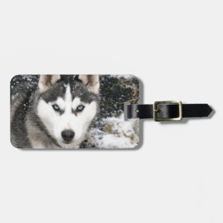 Husky Dog Bagagelabel