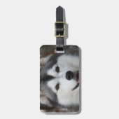 Husky Dog Bagagelabel (Voorkant verticaal)