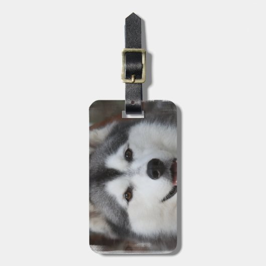Husky Dog Bagagelabel (Voorkant verticaal)