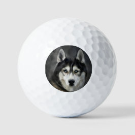Husky Dog Big Dog Animal Pet Golfballen