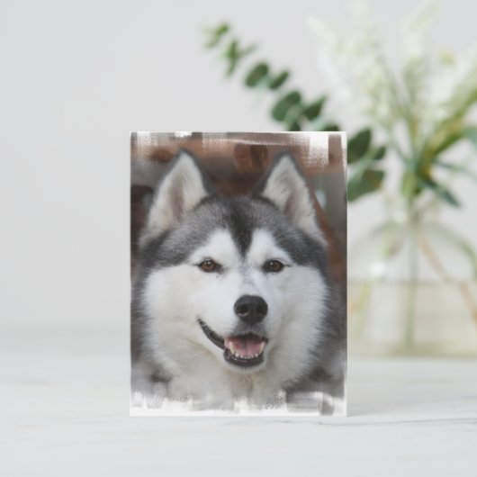 Husky Dog Briefkaart (Staand voorkant)